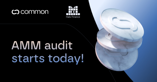 Kicking off the Common AMM audit!
